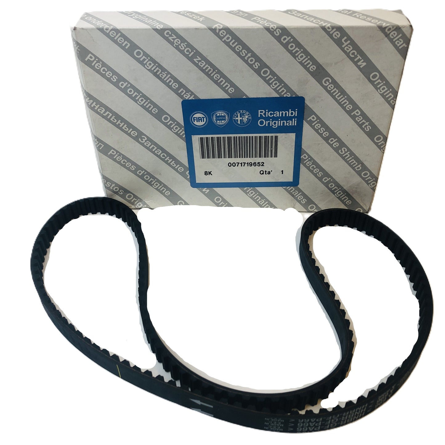 Lancia Y 1200 12V e Ypsilon 1200 8V Cinghia Distribuzione Nuova Originale 71719652 46526291 - Raggi's Collectibles' Automotive Art