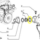 Lancia Thema Fiat Croma Ducato Guarnizione Tenuta Pompa Acqua 7303173 4823212