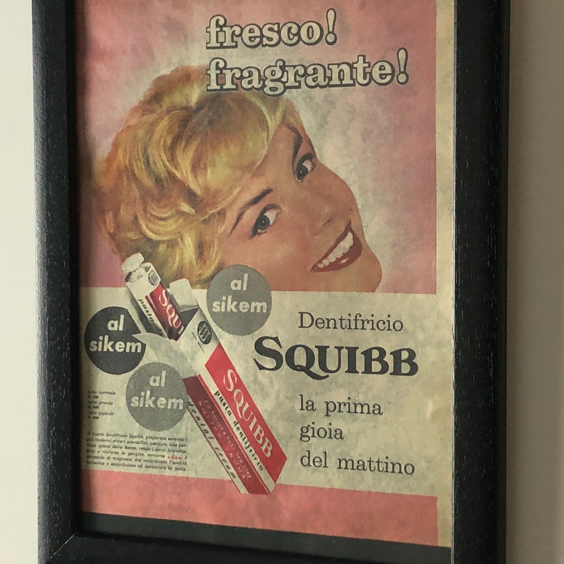 Squibb, Pubblicità Anno 1960 Dentifricio Squibb con Listino Prezzi e Didascalia in Italiano - Raggi's Collectibles' Automotive Art