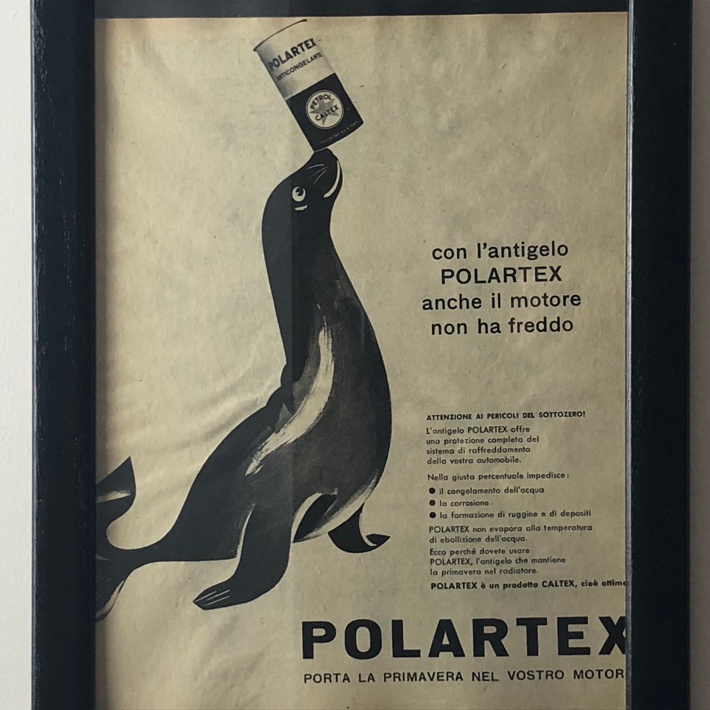 Petrol Caltex, Pubblicità Anno 1960 Petrol Caltex Antigelo Polartex