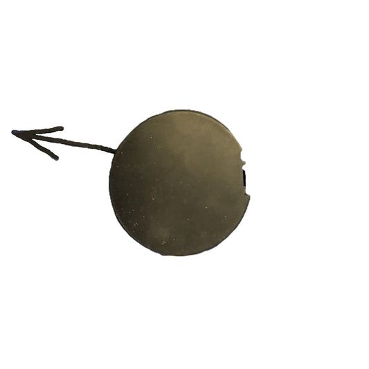 Lancia Thesis Tappo Gancio Traino Paraurti Anteriore Nuovo Originale 156031938 - Raggi's Collectibles' Automotive Art